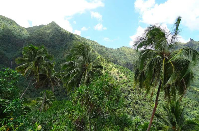 Polynésie Française - Îles Marquises - Nuku Hiva - Safari 4x4 à la Découverte de Nuku Hiva