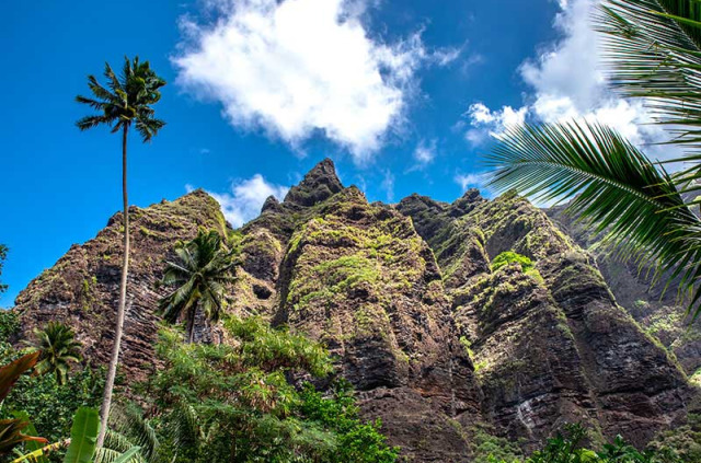 Polynésie Française - Îles Marquises - Nuku Hiva - Cascades de Hakaui