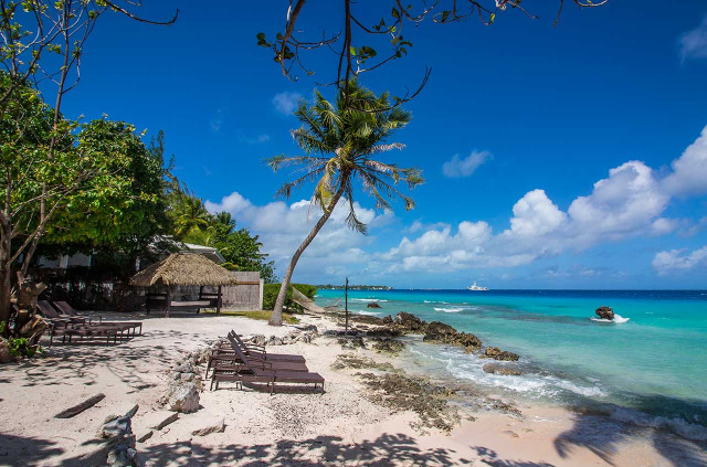 Polynésie française - Rangiroa - Le Coconut Lodge