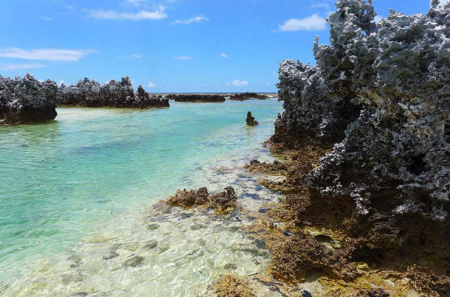 Polynésie française - Rangiroa - Découverte de l'Île aux Récifs