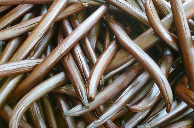 Polynésie française - Tahaa - Tahaa la Découverte Complète