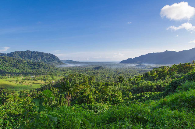 Samoa - Upolu - Randonnée et kayak dans les mangroves - © Shutterstock