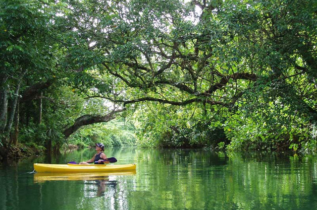 Vanuatu - Efate - Randonnée canoë à Efate © Eden Tours