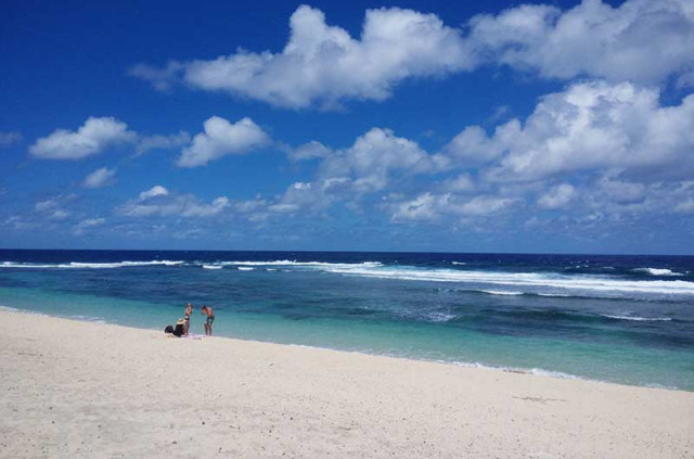 Vanuatu - Tanna - Cascade, plage et pique-nique © Evergreen Resort